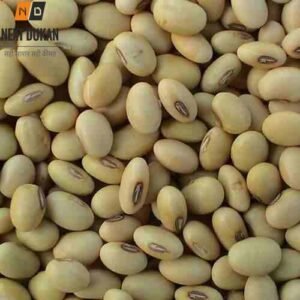 Soyabean